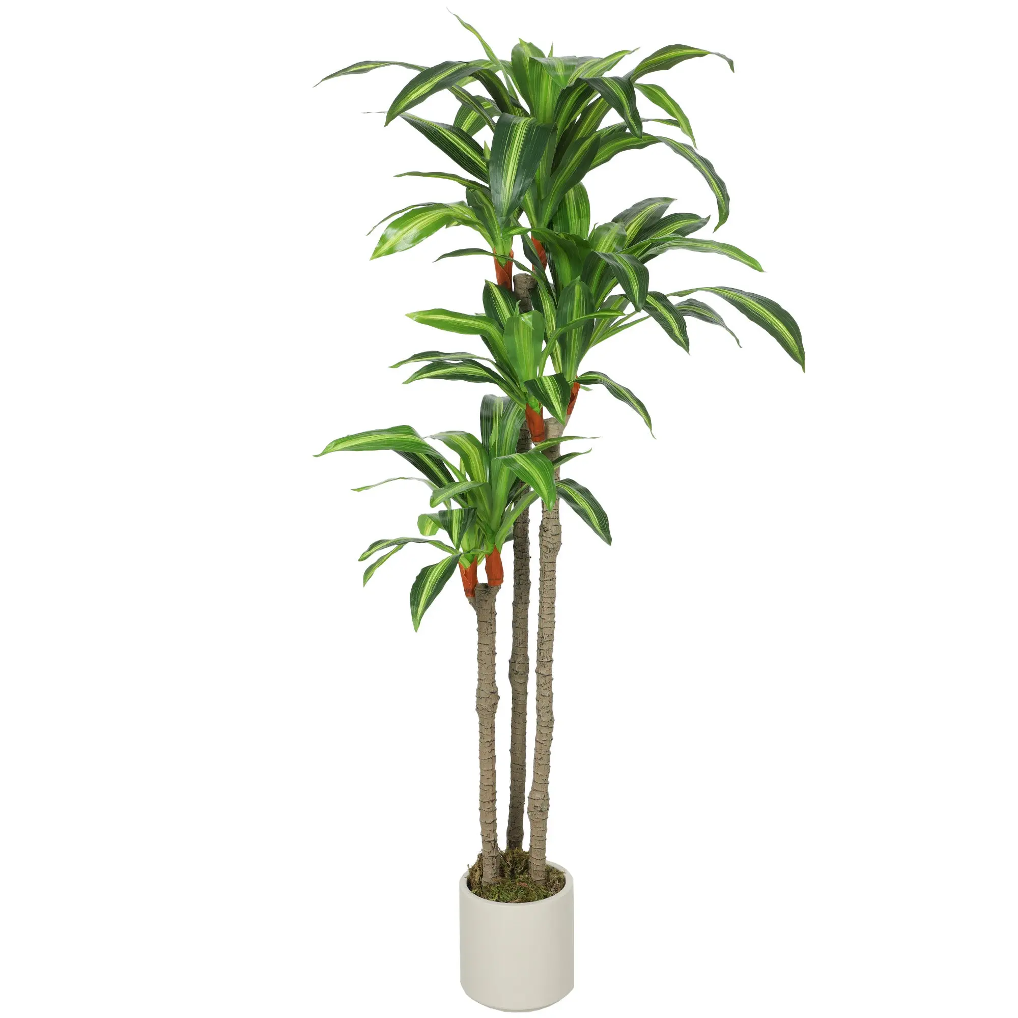 5FT Artificial Dracaena Tree, Lifelike Dracaena Fake Plant with Bendable Trunks and White Planter, Green