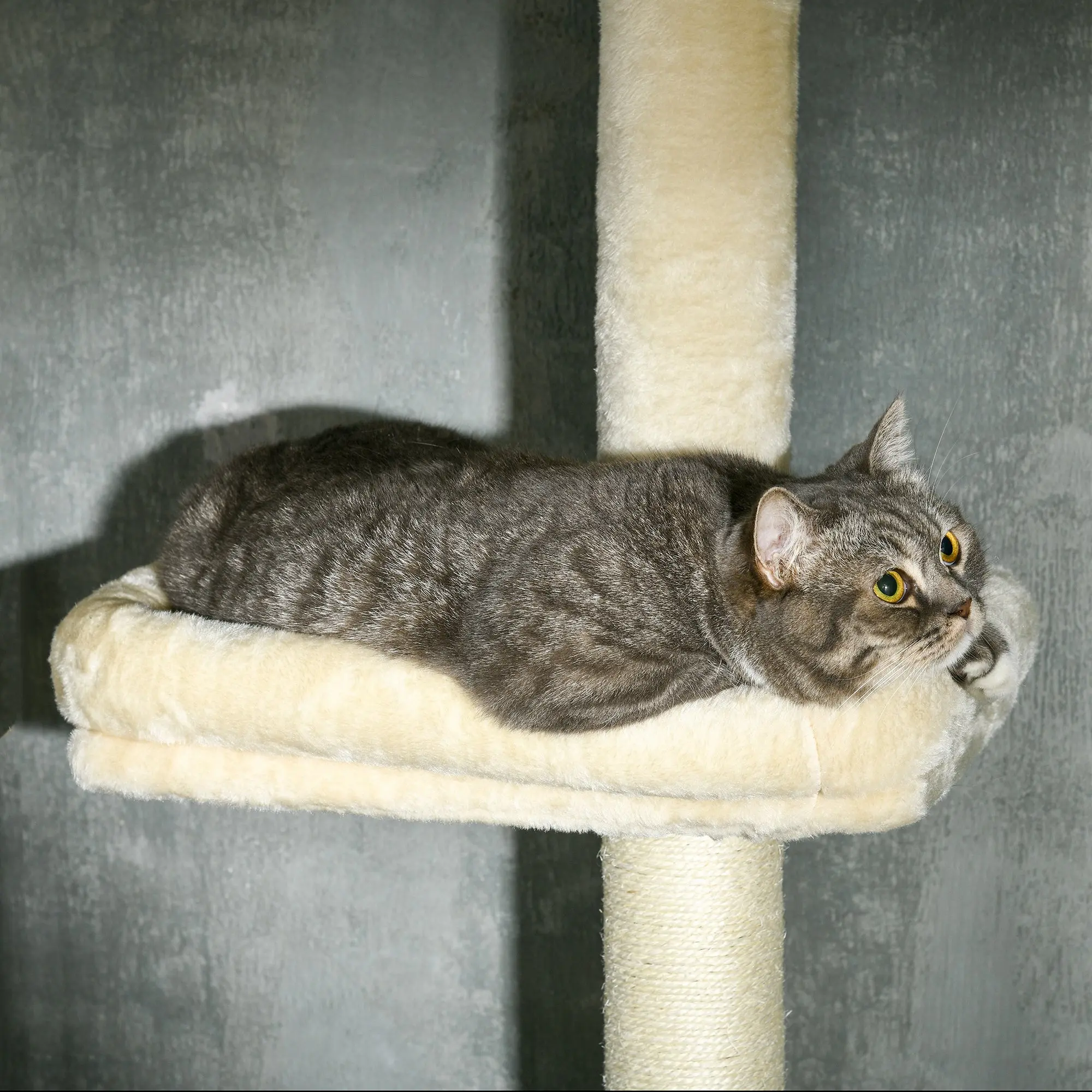Adjustable Height Cat Tree from 230 to 260 cm Play Tower for Cats Scratching Post 4 Levels Activity with Plush Beige Niche