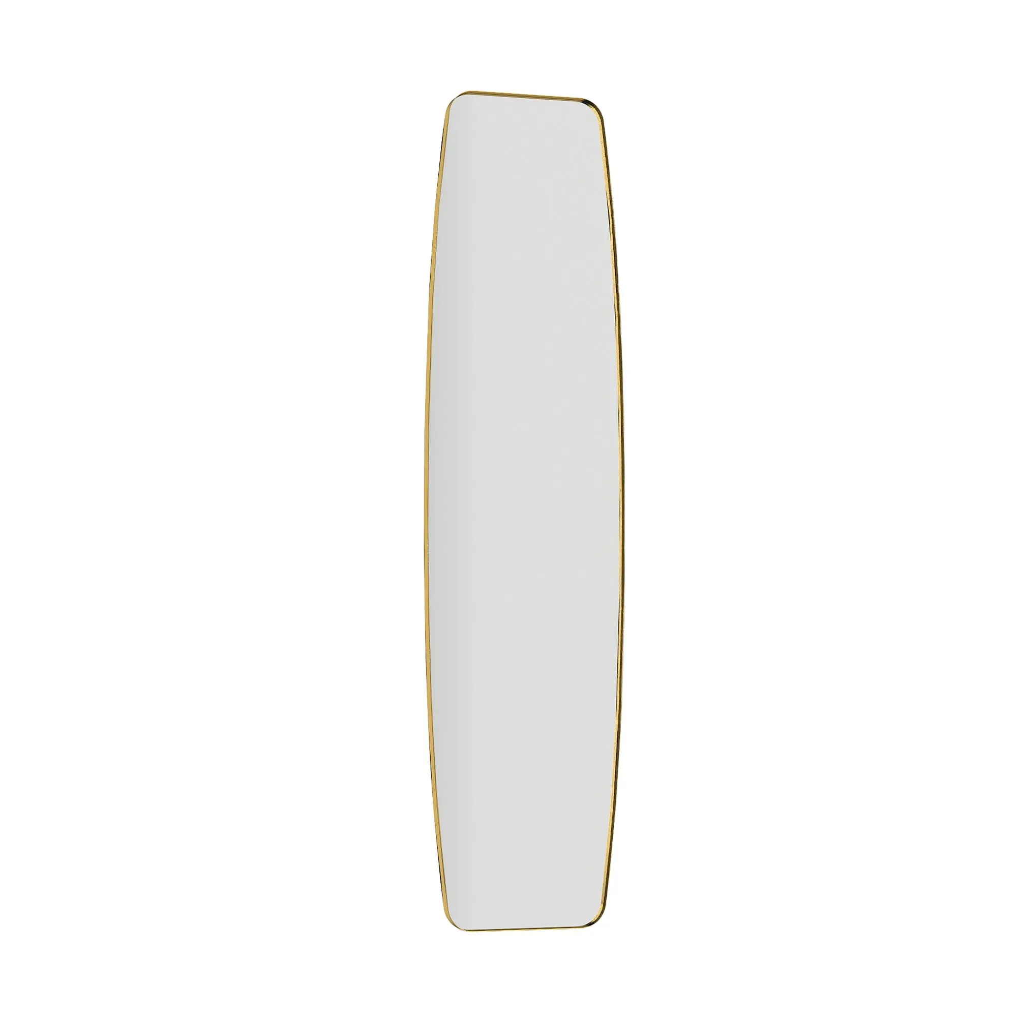 Wall Mirror 63 x 15.7 in (160 x 40 cm) Metal Frame — Decorative Full-Length Hanging Mirror for Hallway, Bedroom & Living Room, Gold