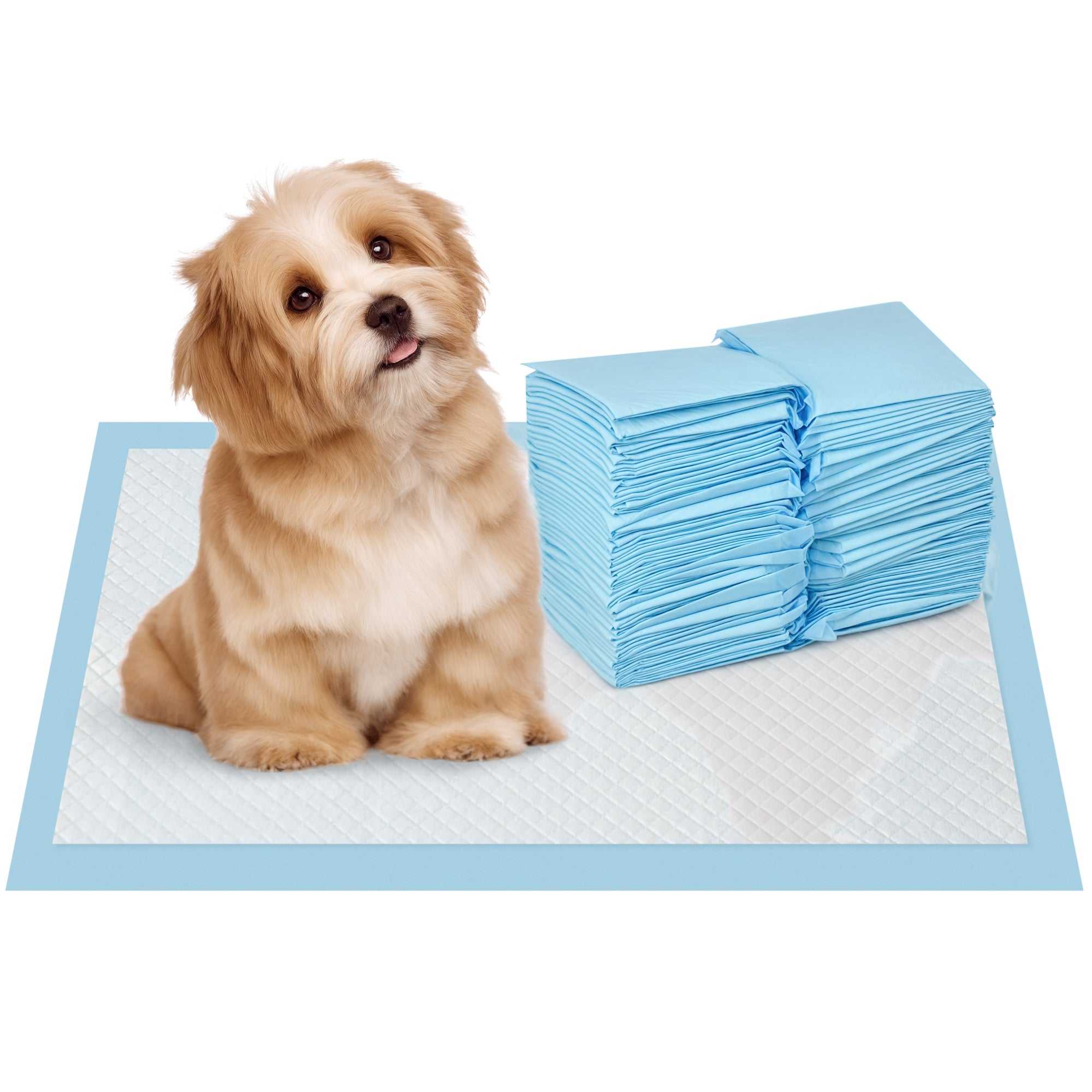 PawHut Coussinets d'Entraînement pour Animaux 100 Compte 45x30 cm Design à 6 Couches avec Surface à Séchage Rapide et Étanchéité Bleu