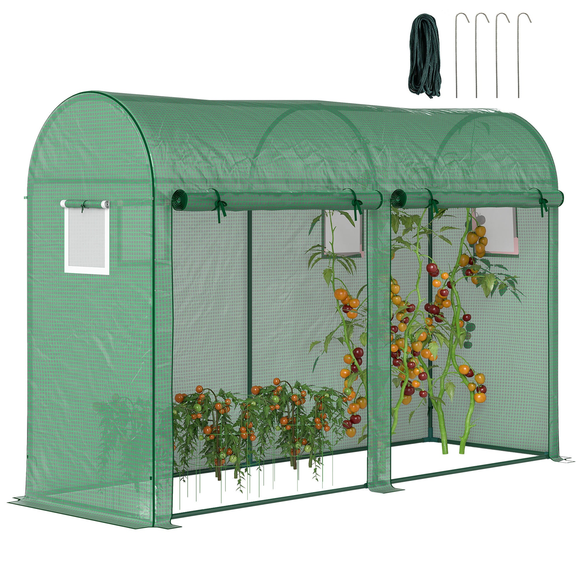 Outsunny Gewächshaus 300x100x200 cm Garten-Gewächshaus mit 4 Fenstern und 2 Türen zum Anbauen von Pflanzen, Blumen und Gemüse aus PE und Stahl
