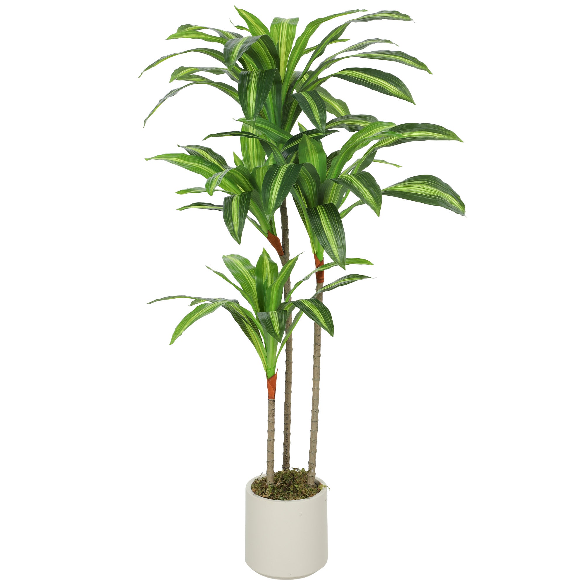 HOMCOM Künstlicher Drachenbaum mit verstellbaren Zweigen, weißer PP-/Zementtopf – PEVA-Blätter & Holzstamm, 60 × 40 × 120 cm