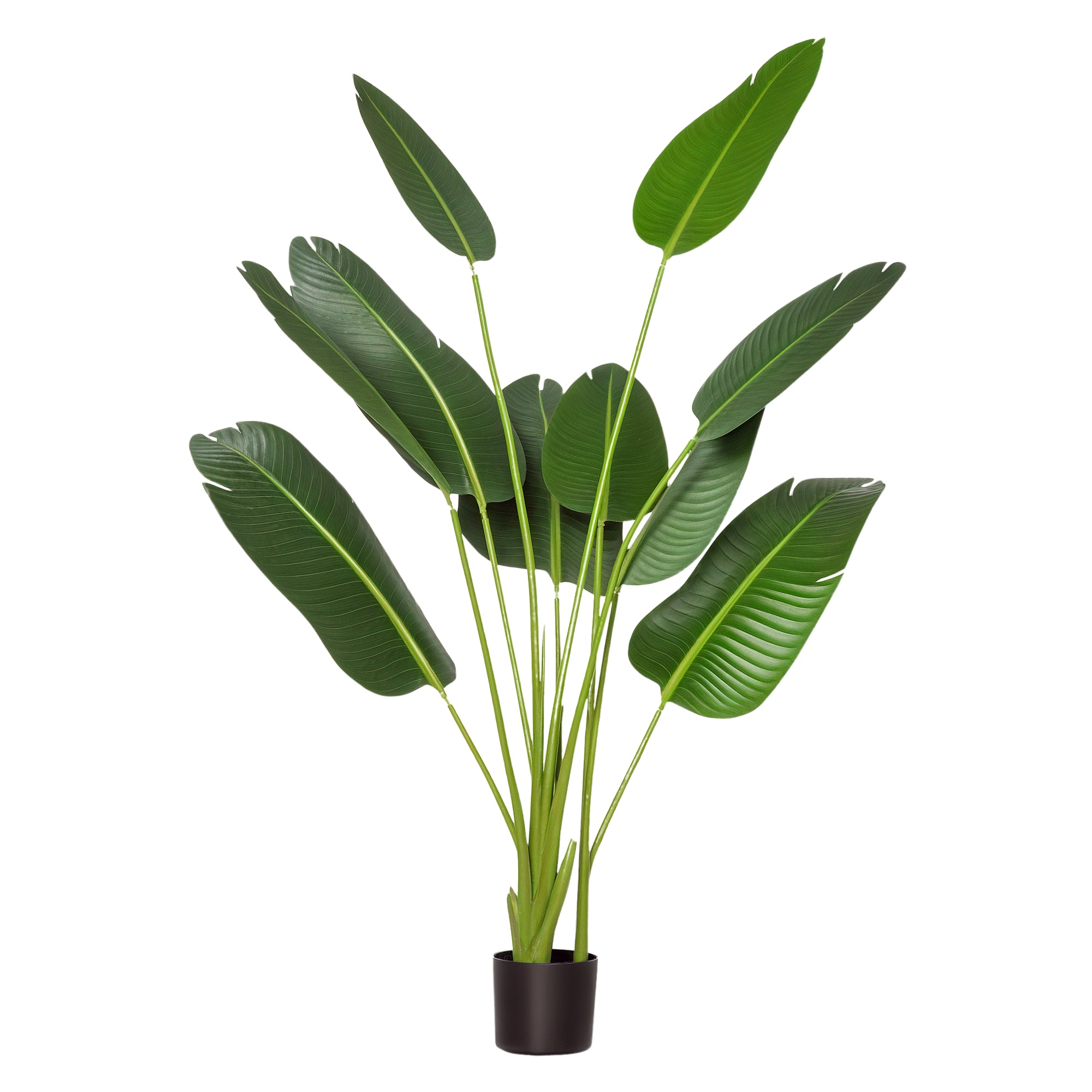 HOMCOM 160 cm Kënschtlech Bananenplanze mat Pot a 10 Realisteschen Blieder - Synthetesch Tropesch Planze fir Innendekoratioun an Deko am Büro a Heem