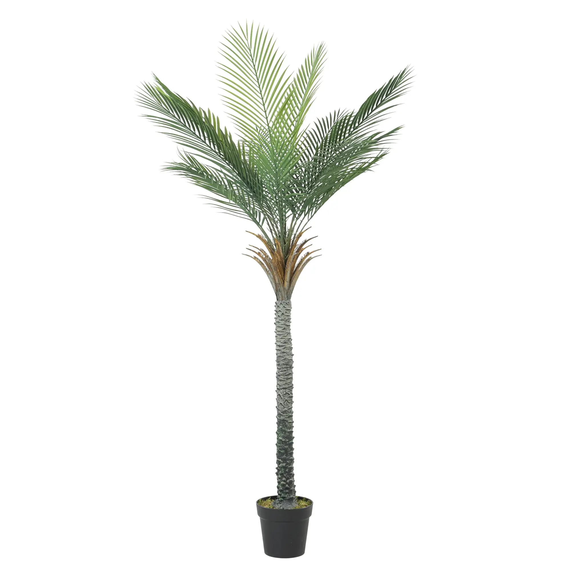 180 cm Artificial Palm Tree, Potted Tropical Faux Plant with 15 Realistic Leaves — Green Indoor Décor for Living Room, Bedroom, Office
