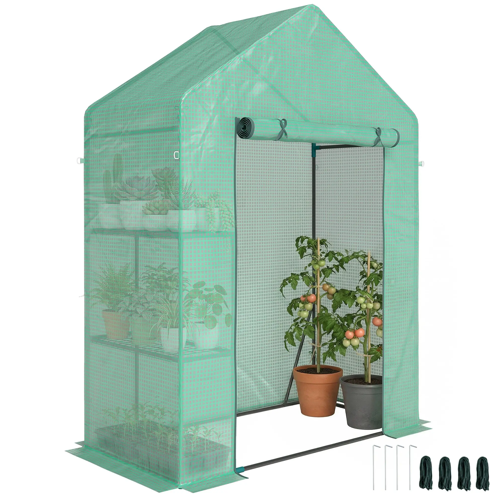 Garden Greenhouse with Roll-Up Door and 2-Tier Shelving, Steel Frame & PE Cover, for Plants, Vegetables, Flowers & Fruit, UV-Resistant, 143 x 73 x 195 cm (56 x 29 x 77 in), Green