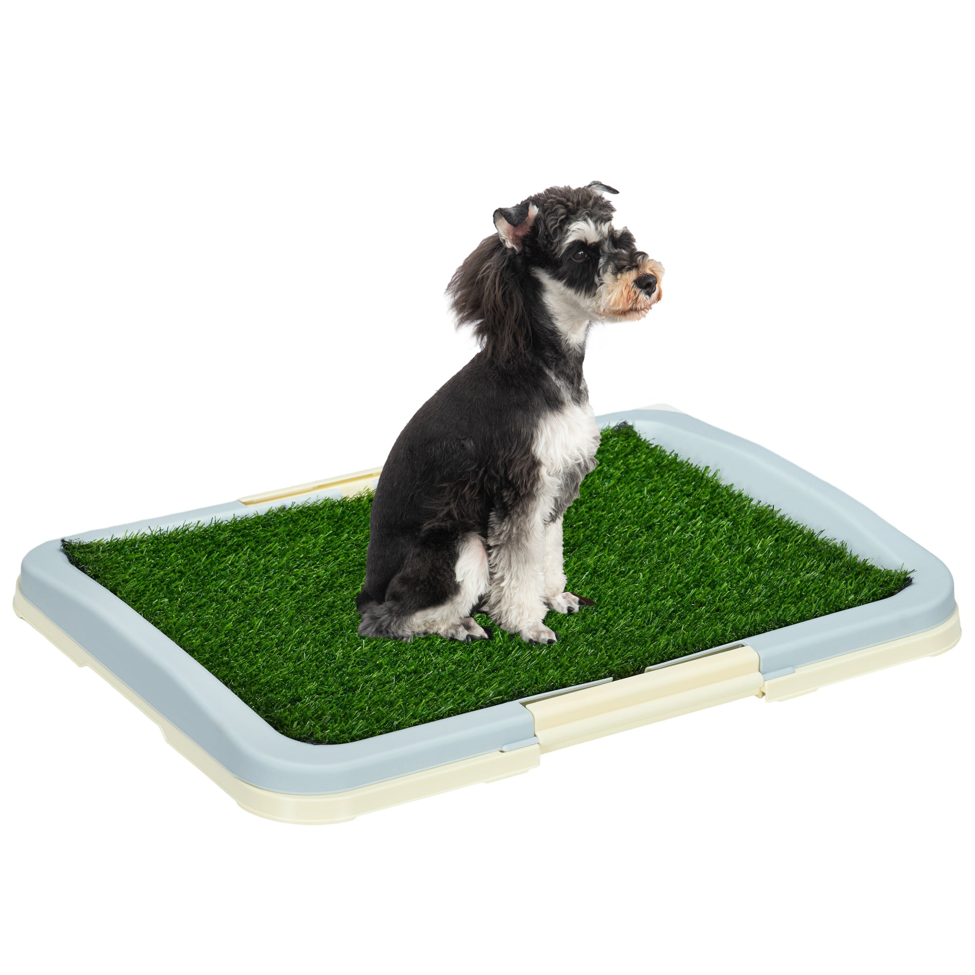 PawHut Welpen-Toilette für kleine Hunde - Indoor Welpen-Toilette für die Wohnung - Kunstrasen für Welpen auf dem Balkon - Innen Toilette für Hunde blau 63x48,5cm