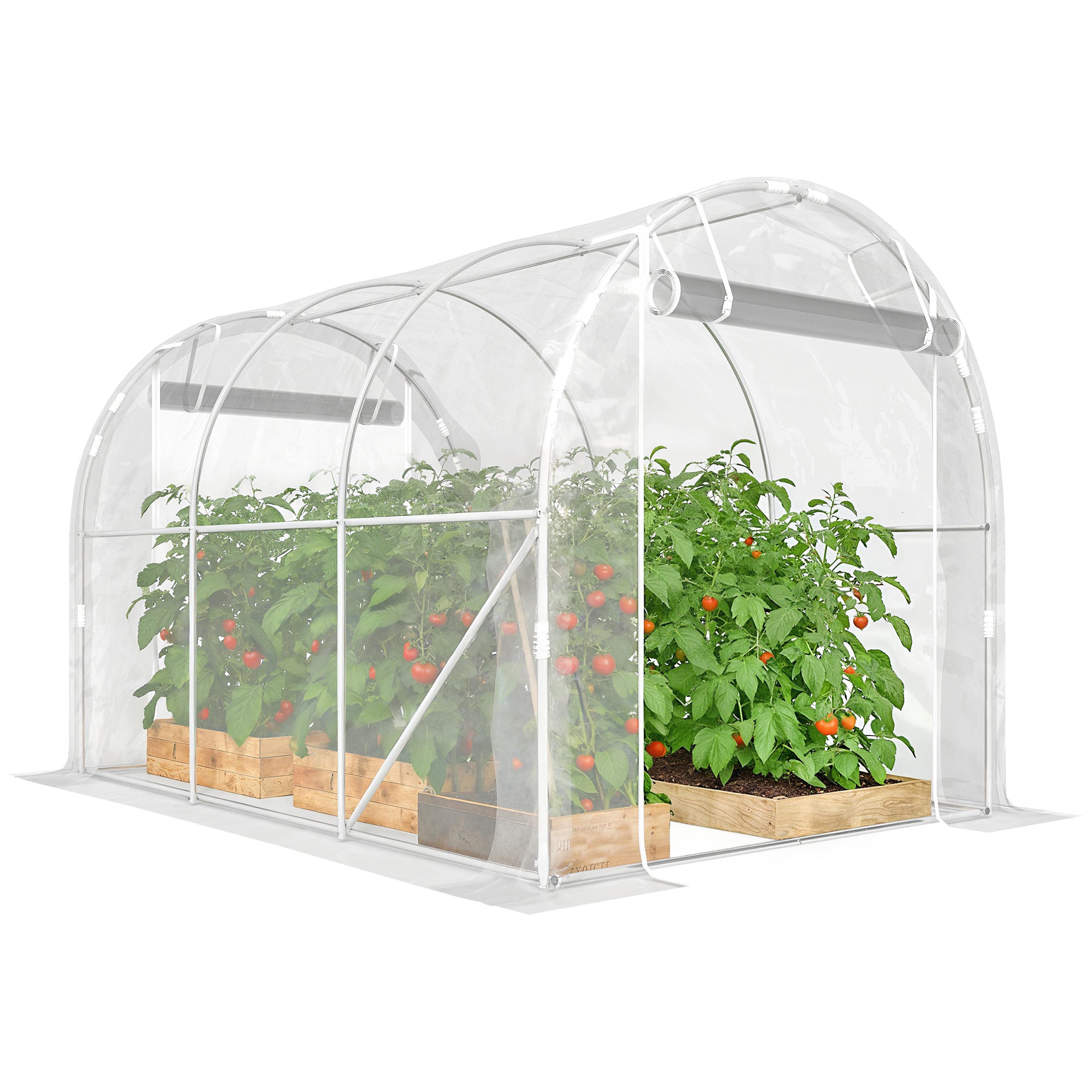 Outsunny 6 m² tunnelkasvuhoone — tsingitud terasraam, 150 g/m² PE-kate, 2 rullitavat lukuga ust, 195 × 295 × 195 cm — läbipaistev