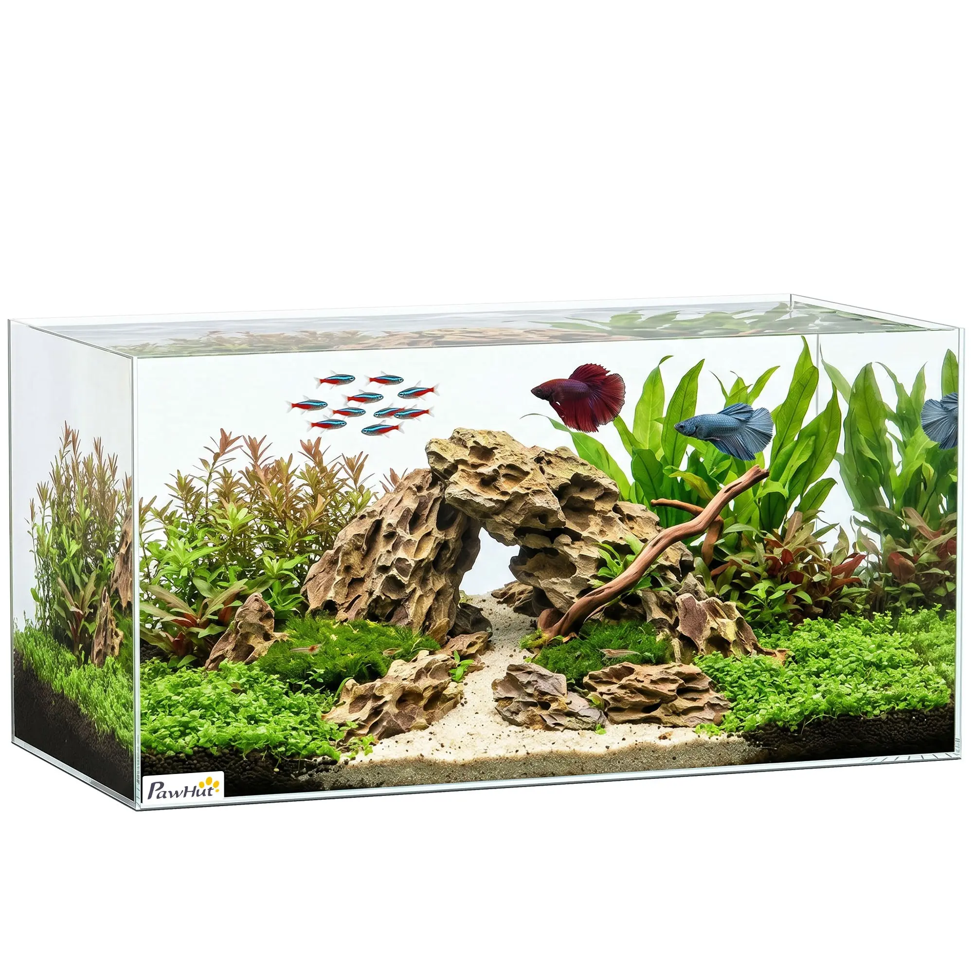 13.5 Gal (51 L) Tempered Glass Aquarium with Protective Mat — Clear (60 x 30 x 30 cm)