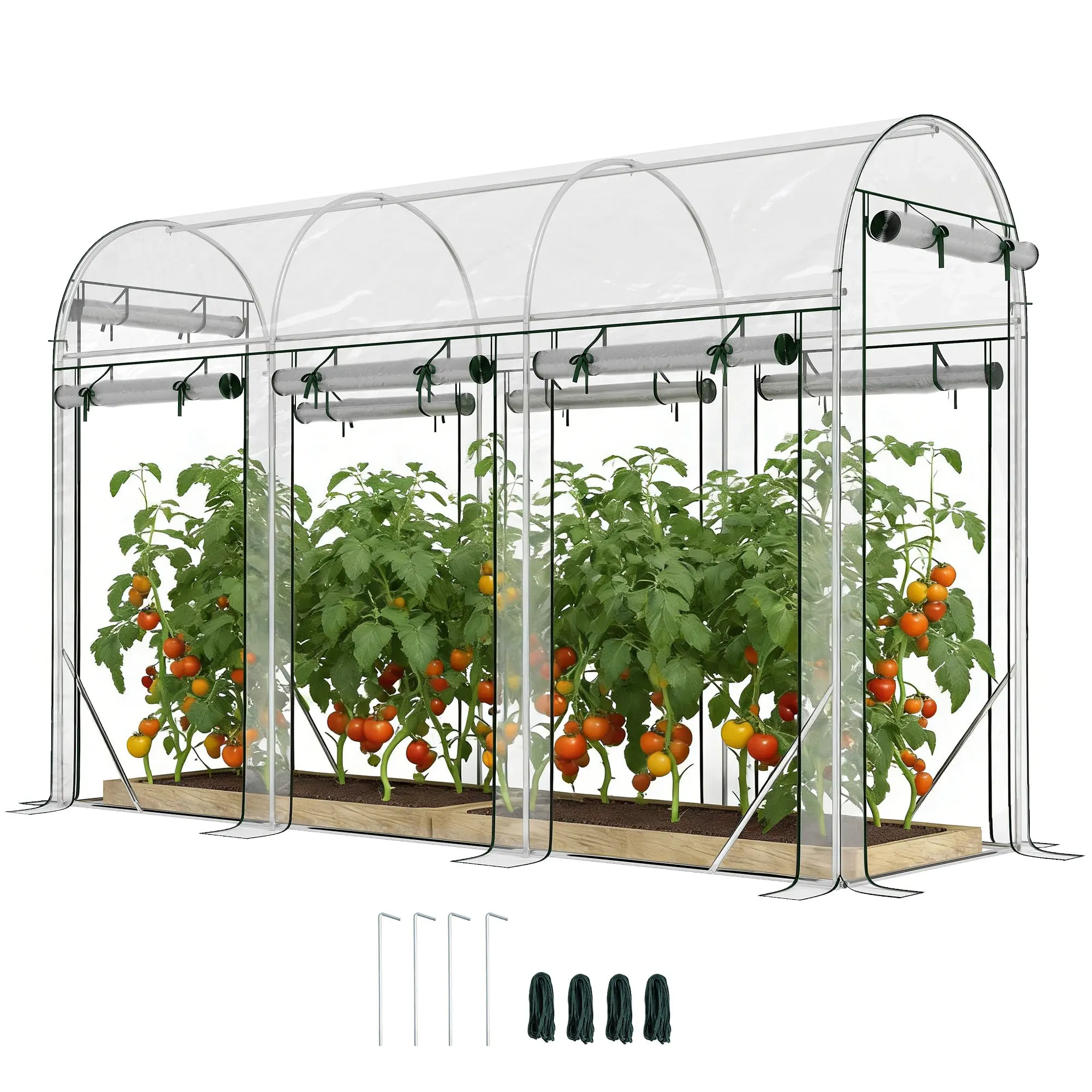 9.7' x 3.3' x 6.5' Tunnel Greenhouse with 8 Roll-Up Doors, UV-Resistant Plastic Cover & Galvanized Steel Frame, Waterproof, for Gardening, Transparent