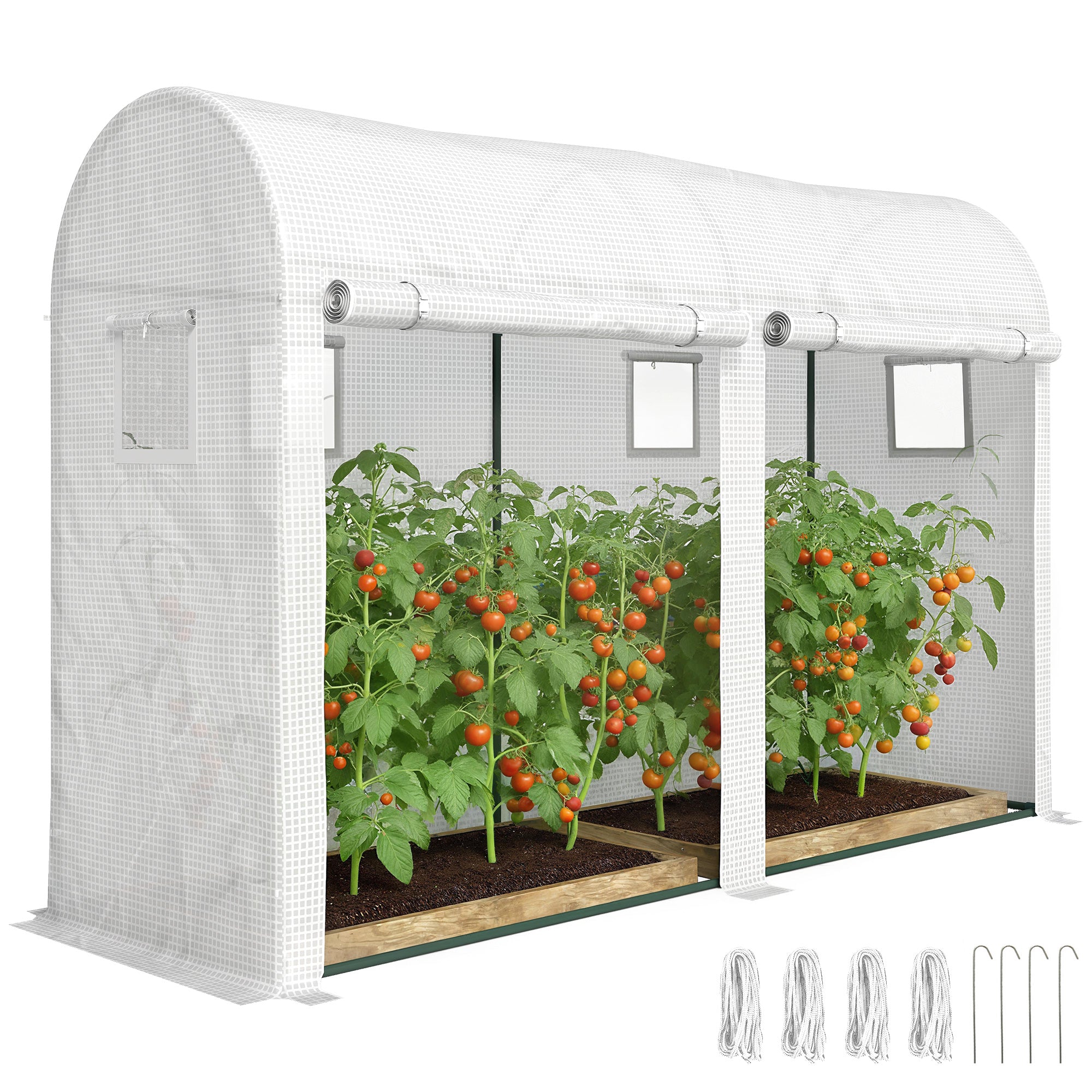 Garden Greenhouse, Small Balcony Greenhouse with PE Cover and Steel Frame, Roll-Up Doors & Windows, for Vegetables & Flowers, Indoor/Outdoor, 300 x 100 x 200 cm (118 x 39 x 79 in), White