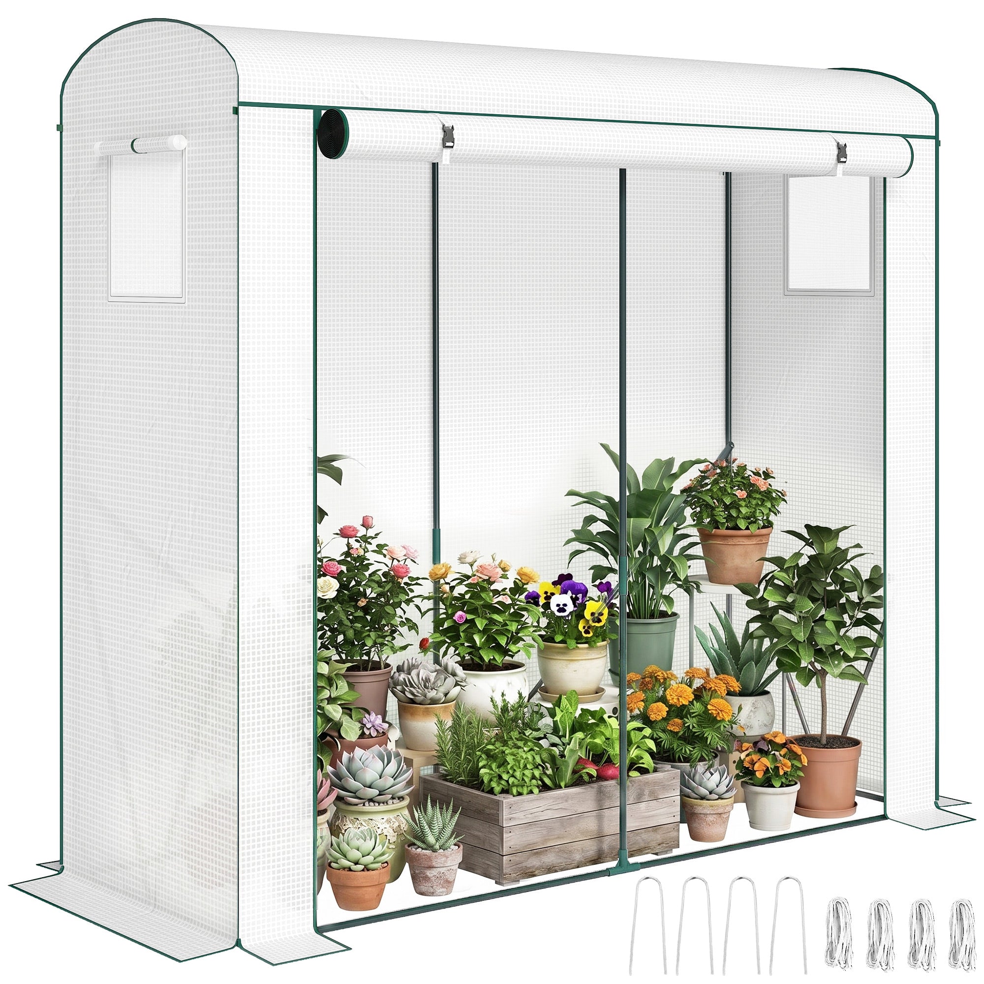 PE Greenhouse with Mesh Windows & Roll-Up Door, Steel Frame, 79" x 29.5" x 74" (200 x 75 x 188 cm) – White/Green