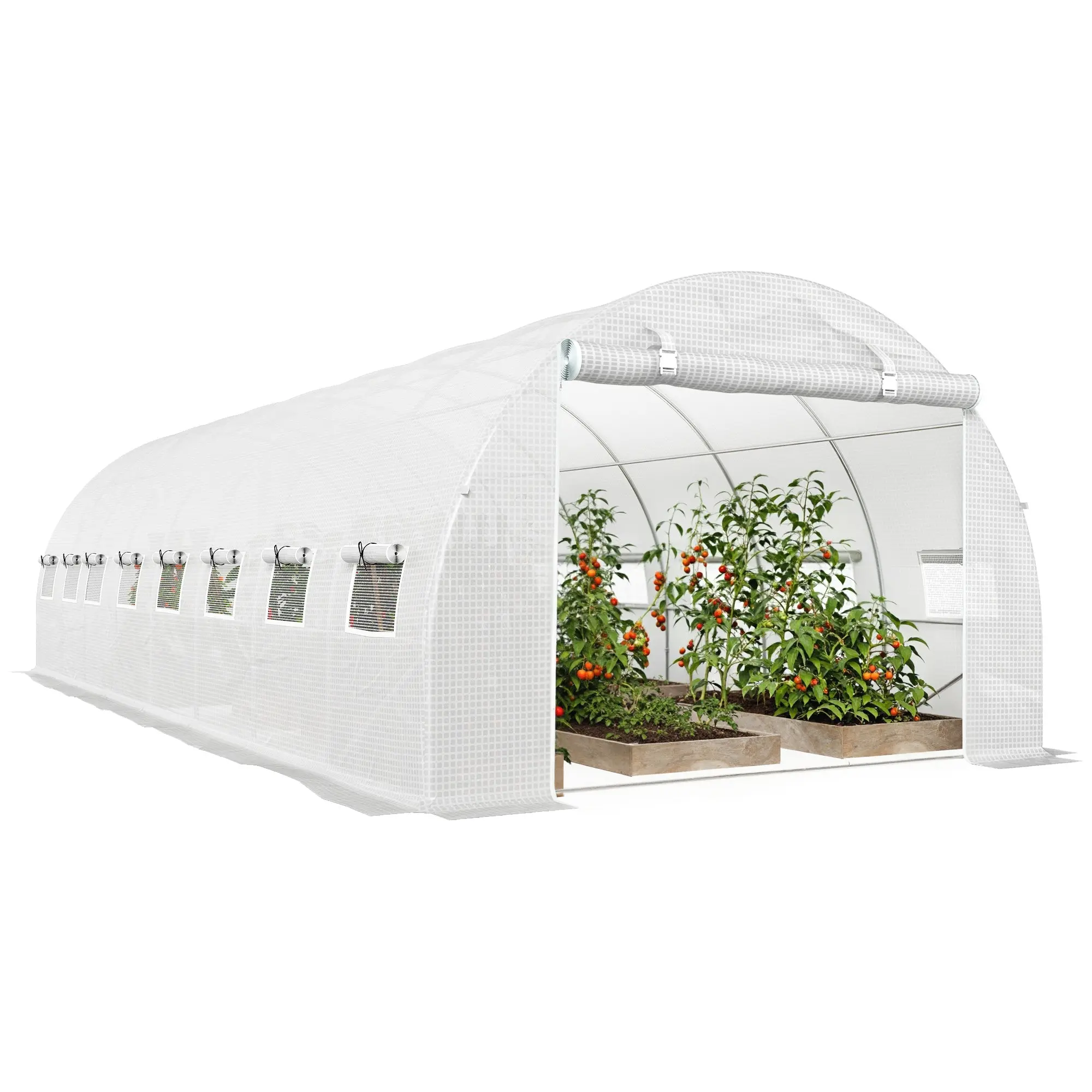 24 m² Tunnel Greenhouse (8×3×2 m) – 16 Roll-Up Windows, Zip Door, Galvanized Steel Frame, High-Density PE Cover, White