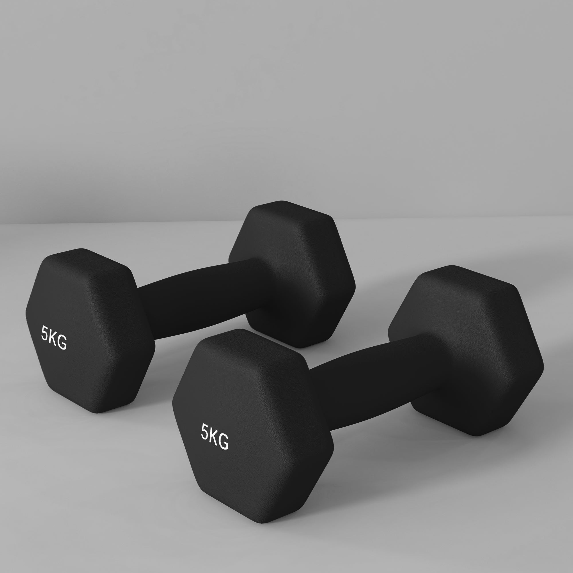 SPORTNOW Sæt med 2 hexagonale håndvægte med skridsikre håndtag til hjemme træning, 2 x 5 kg, sort