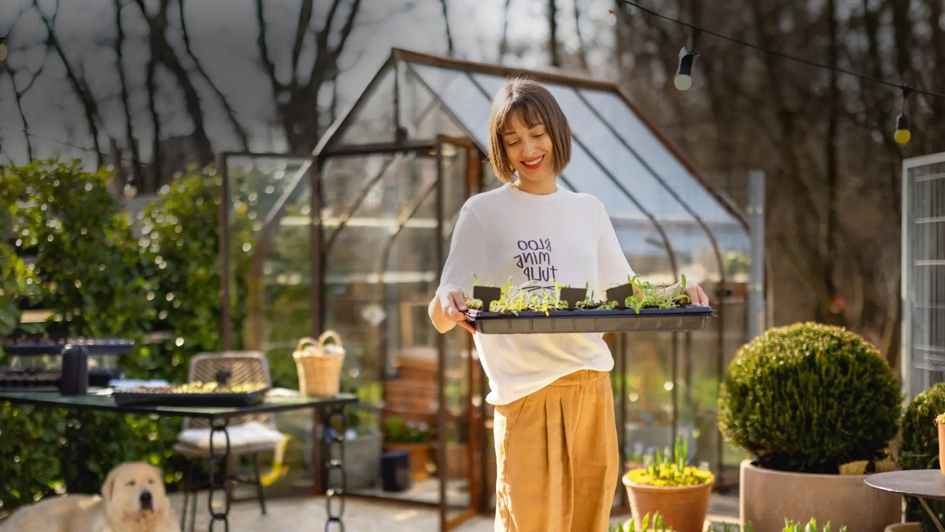 Profitez d'une réduction de 10 % sur tous les articles de jardinage pendant une durée limitée.