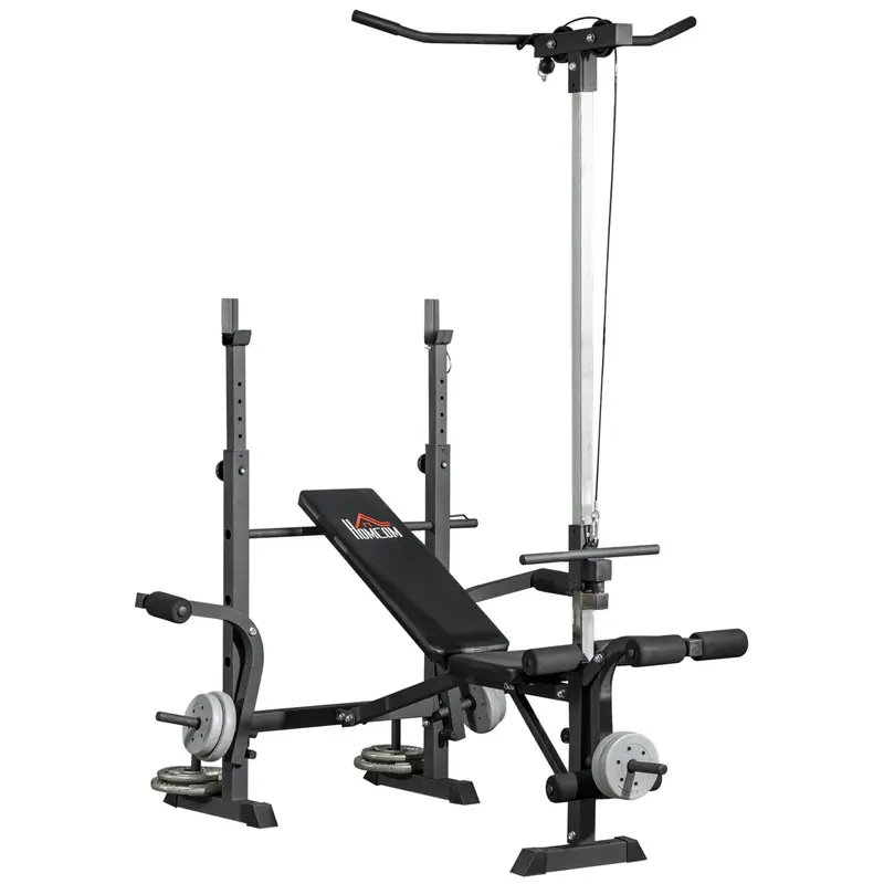 Multifunctional Weight Bench Adjustable in 6 Positions for Full Body Workout at Home Gym Load 150 kg 180x134x200 cm Silver and Black