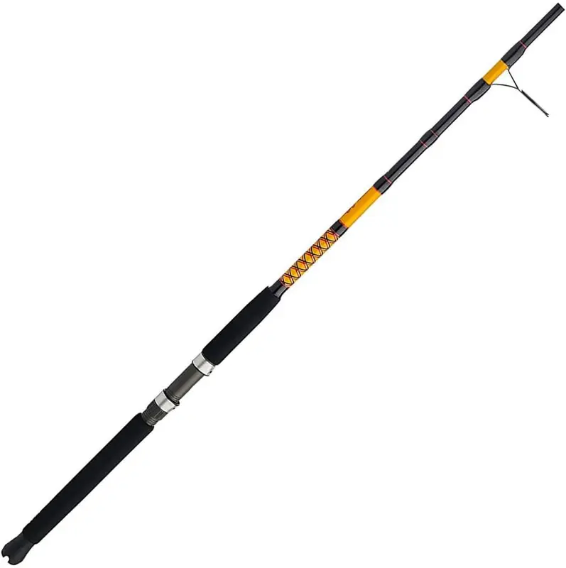 Bigwater Spinning Fishing Rod